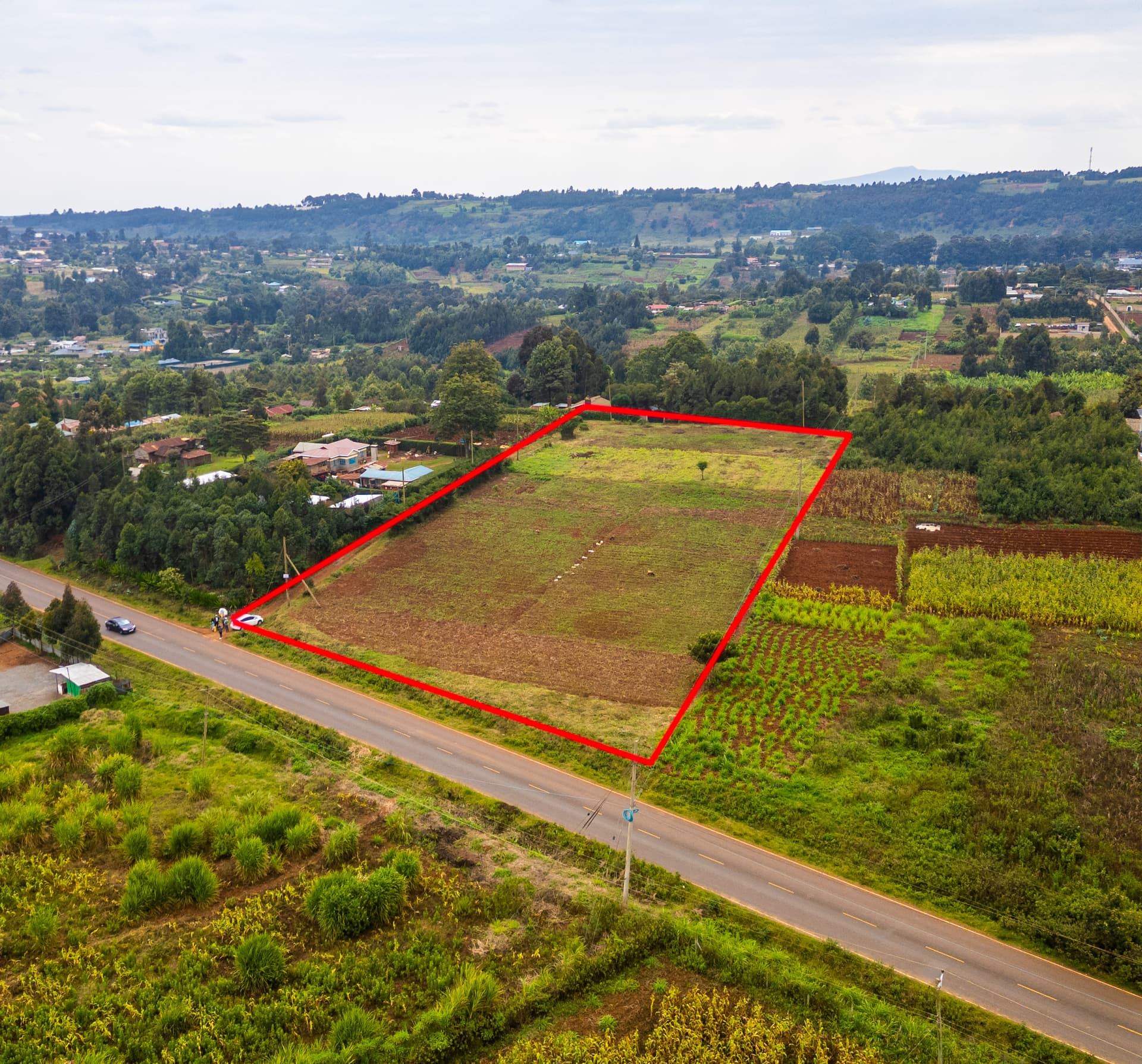 6 Costly Mistakes to Avoid When Buying Land in Kenya (2025 Guide)